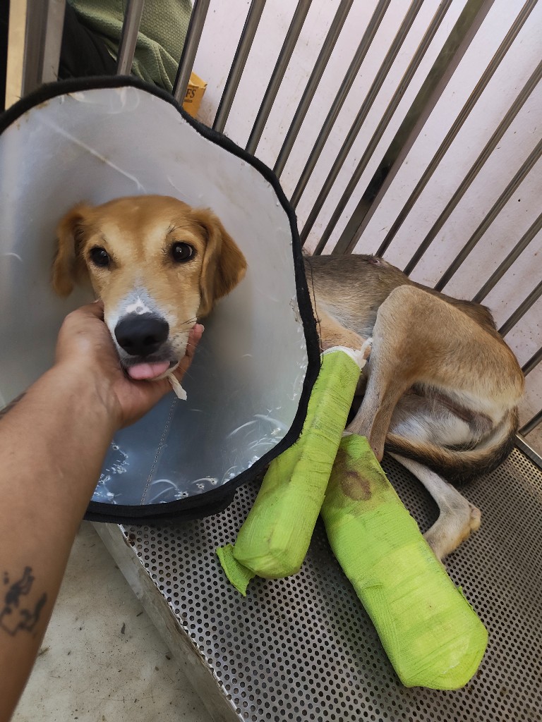 Lalita being comforted after treatment