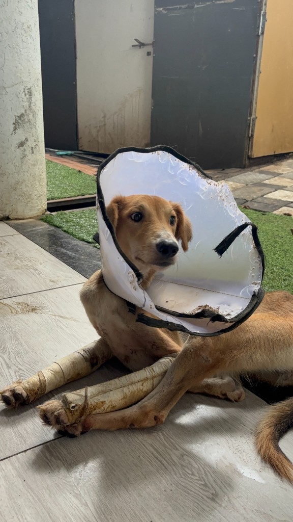 Lalita sitting during recovery