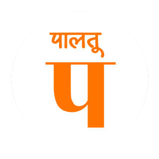 Paltu Logo